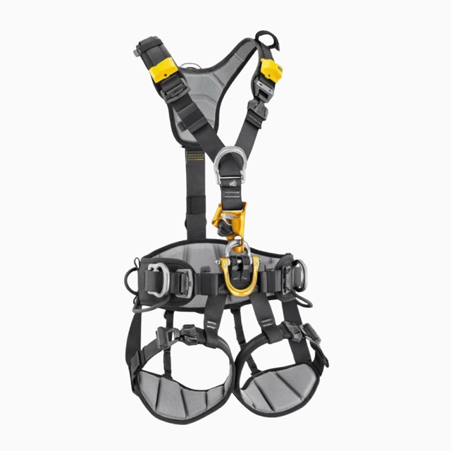 Astro International Harness