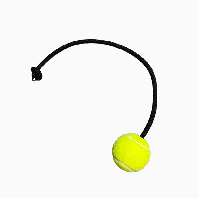 Comet Ball (Tag-Line Deployment Projectile)